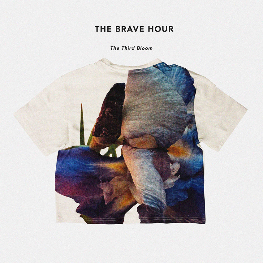THE BRAVE HOUR