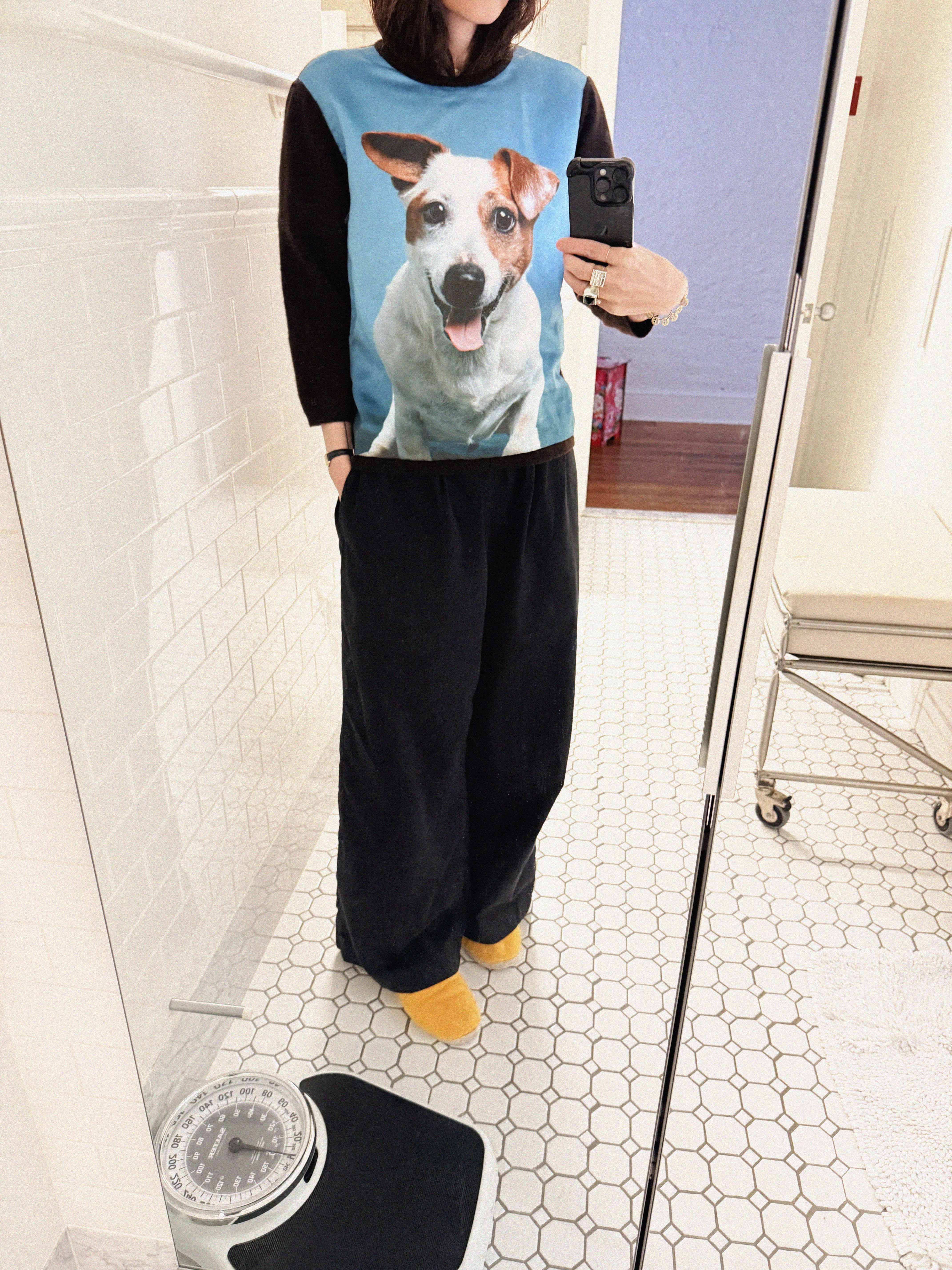 →ANYA HINDMARCH JACK RUSSELL CASHMERE SWEATER← SANG A SELECTS