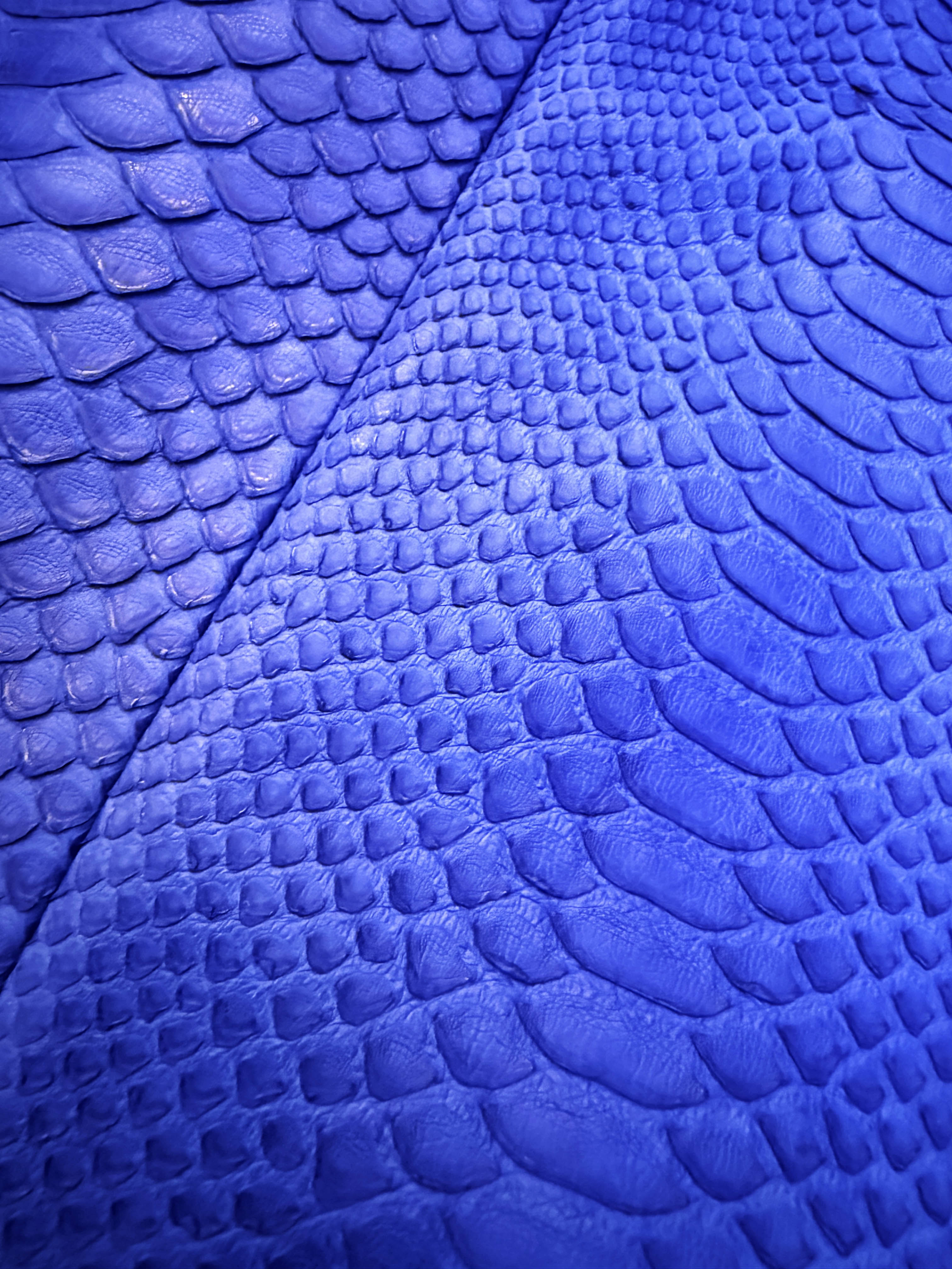 →Flow←Yves Klein Blue-Waxed Python