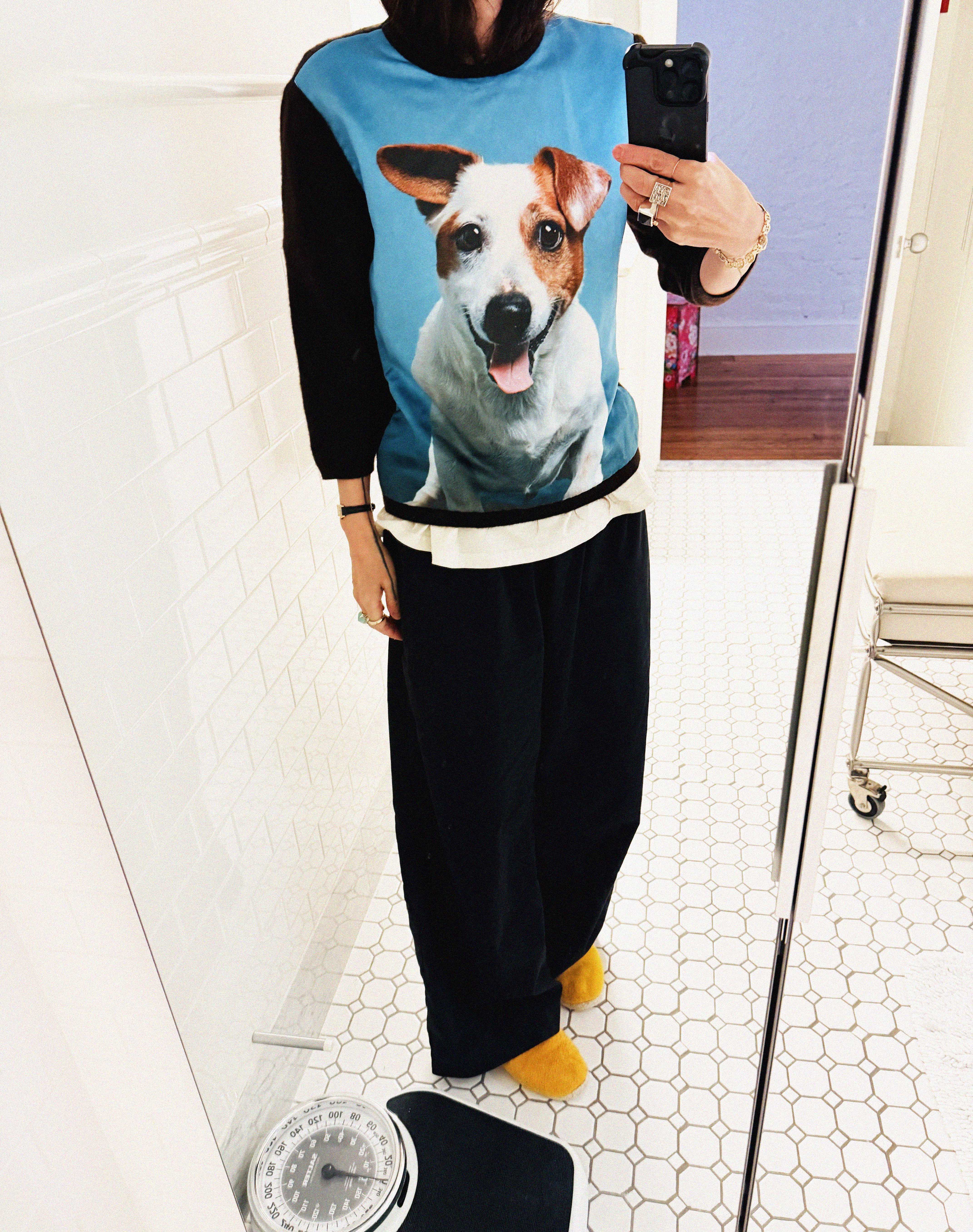 →ANYA HINDMARCH JACK RUSSELL CASHMERE SWEATER← SANG A SELECTS