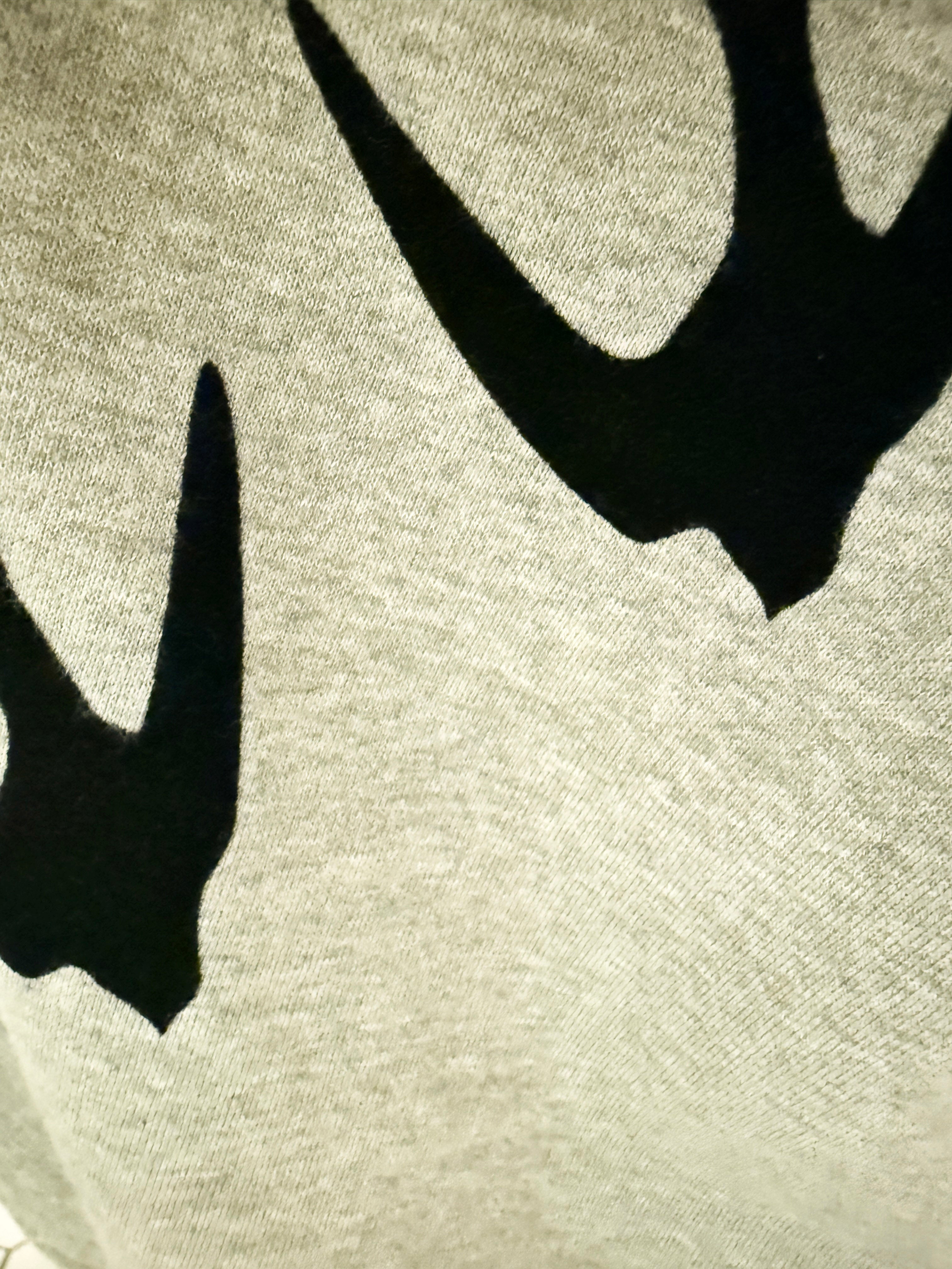 →ALEXANDER MCQUEEN BLACK SWALLOW SWEATSHIRT← SANG A SELECTS